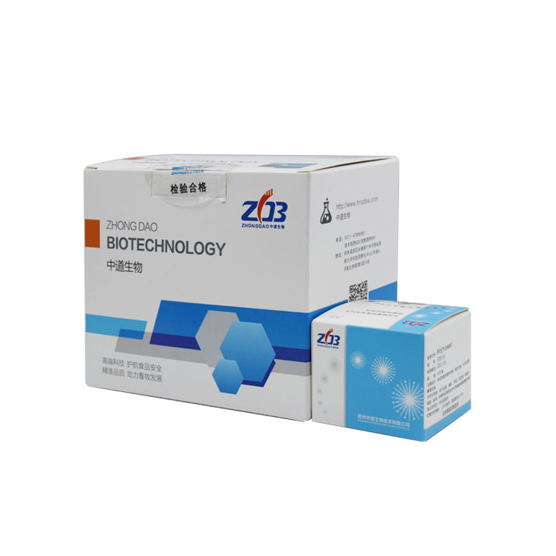 非洲豬瘟病毒提取檢測試劑盒